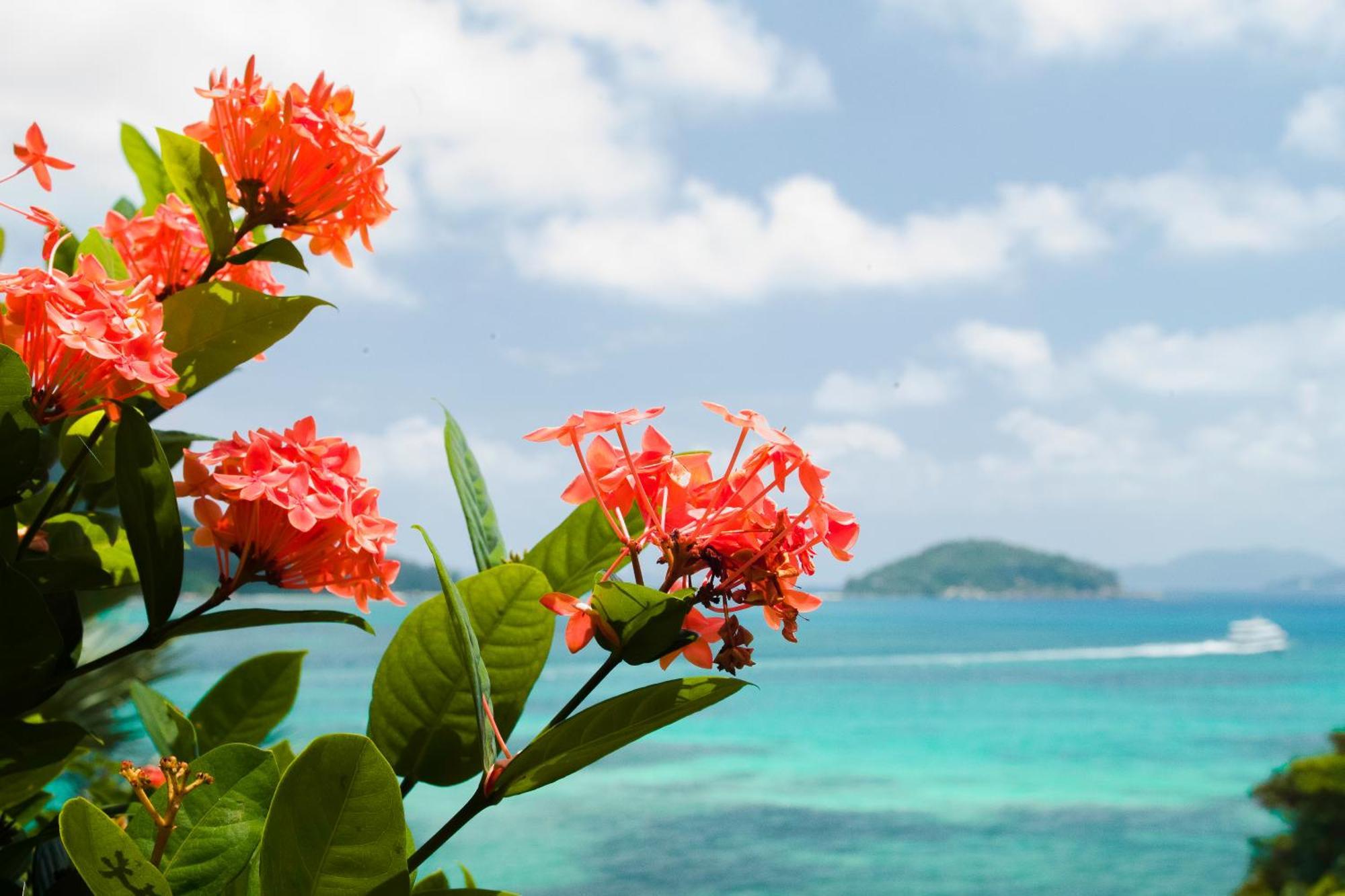 コリブリ ホテル Baie Sainte Anne エクステリア 写真