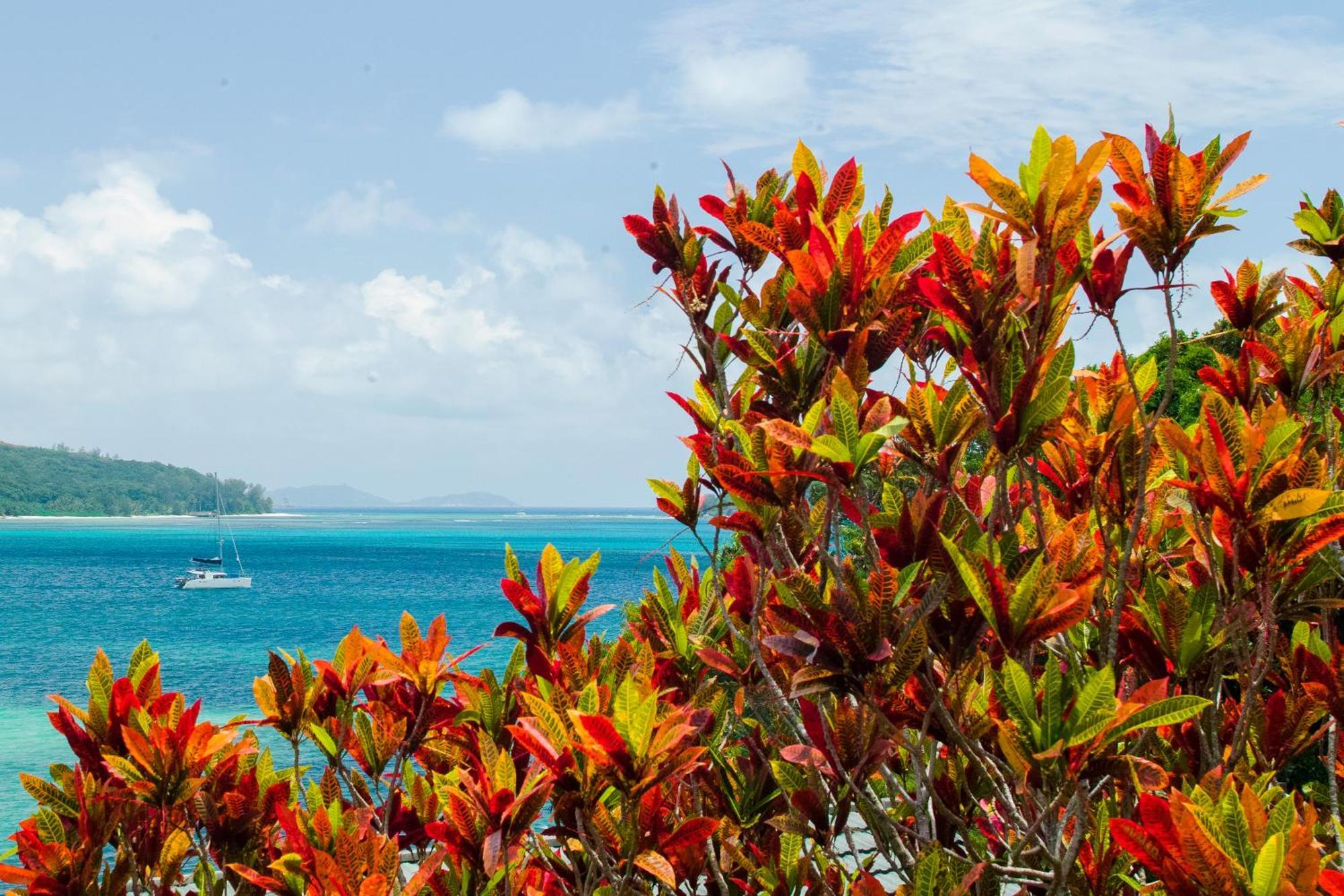 コリブリ ホテル Baie Sainte Anne エクステリア 写真